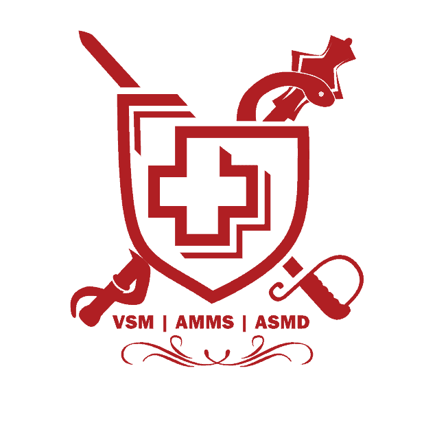 VSM-AMMS-EN